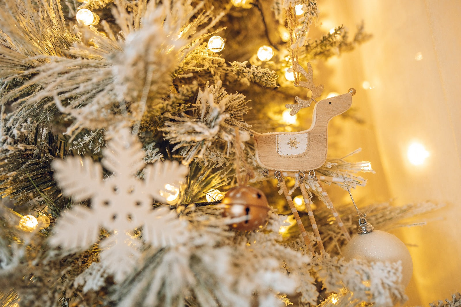 🎄Tendințele Crăciunului 2025 – eleganță, culoare și inspirație naturală