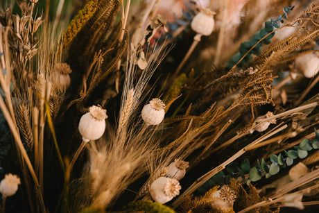 Plante uscate en-gros – Tendințele 2025 pentru decoruri durabile & creative