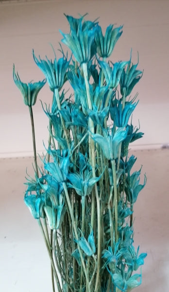 imagine produs Nigella