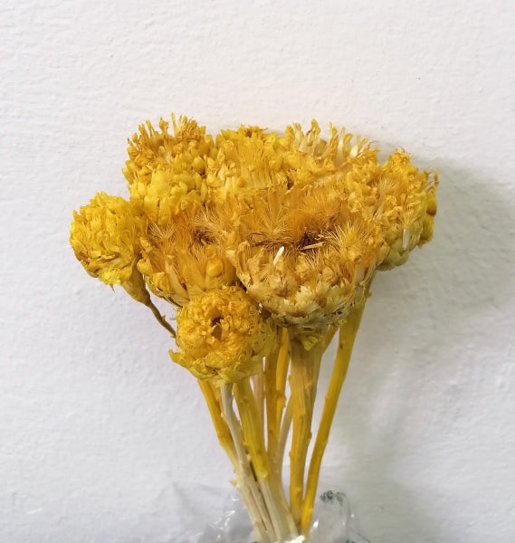 OCHIUL DRACULUI GALBEN