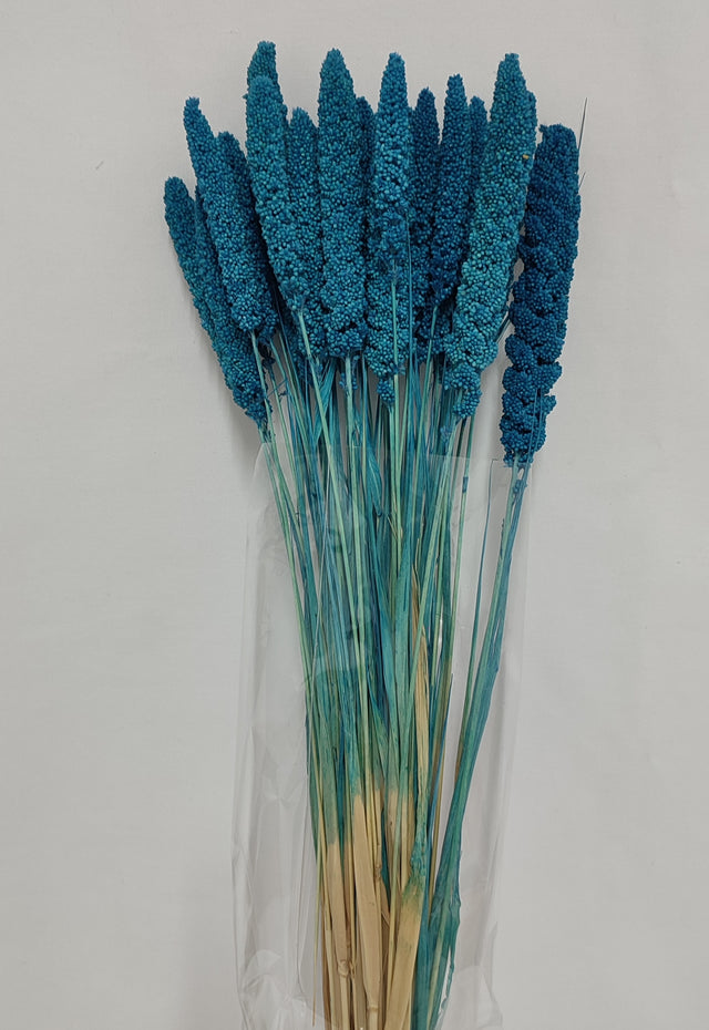 Ciumiz albastru deschis