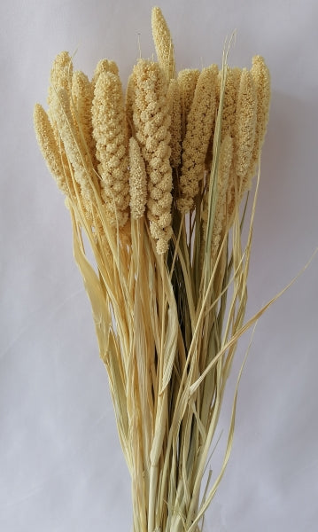 imagine produs Ciumiz