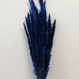 IARBA ALBASTRU INCHIS