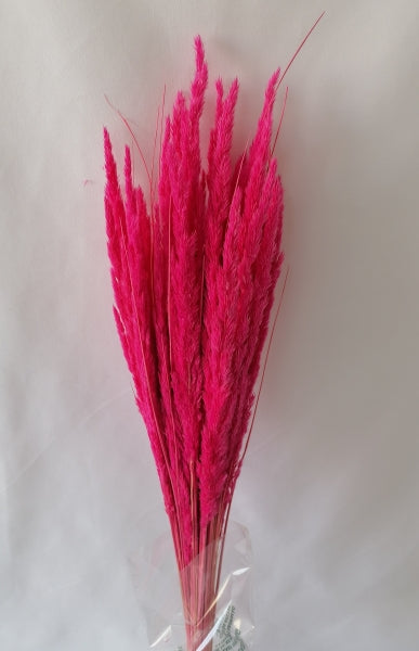 imagine produs Iarba