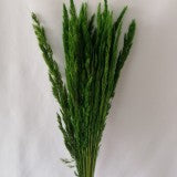 IARBA VERDE DESCHIS