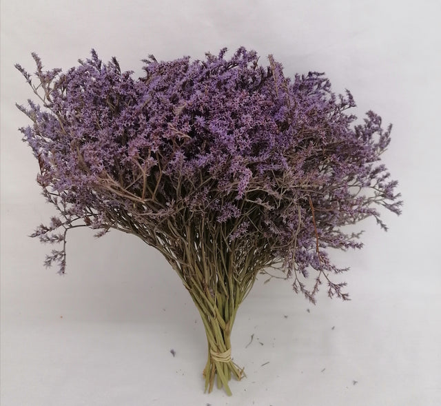 STATICE TATARICA MOV DESCHIS