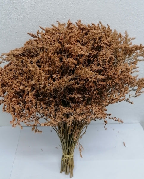 imagine produs Statice tatarica