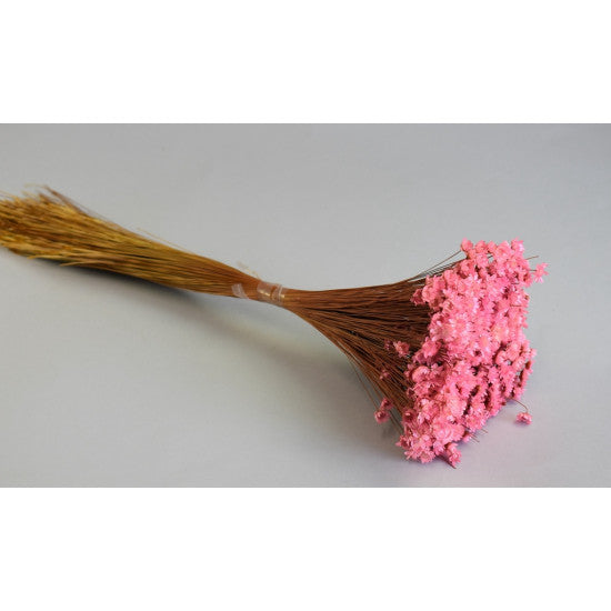 Glixia 50g roz