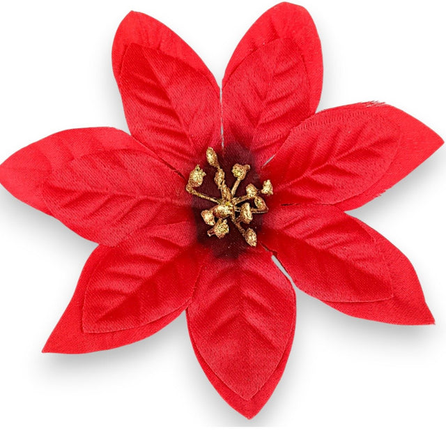 Cap poisentia 12cm 24buc/pachet rosu