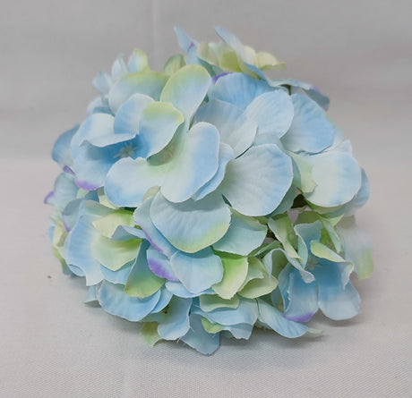 imagine produs Capete hortensie 15cm S/12 albastru deschis