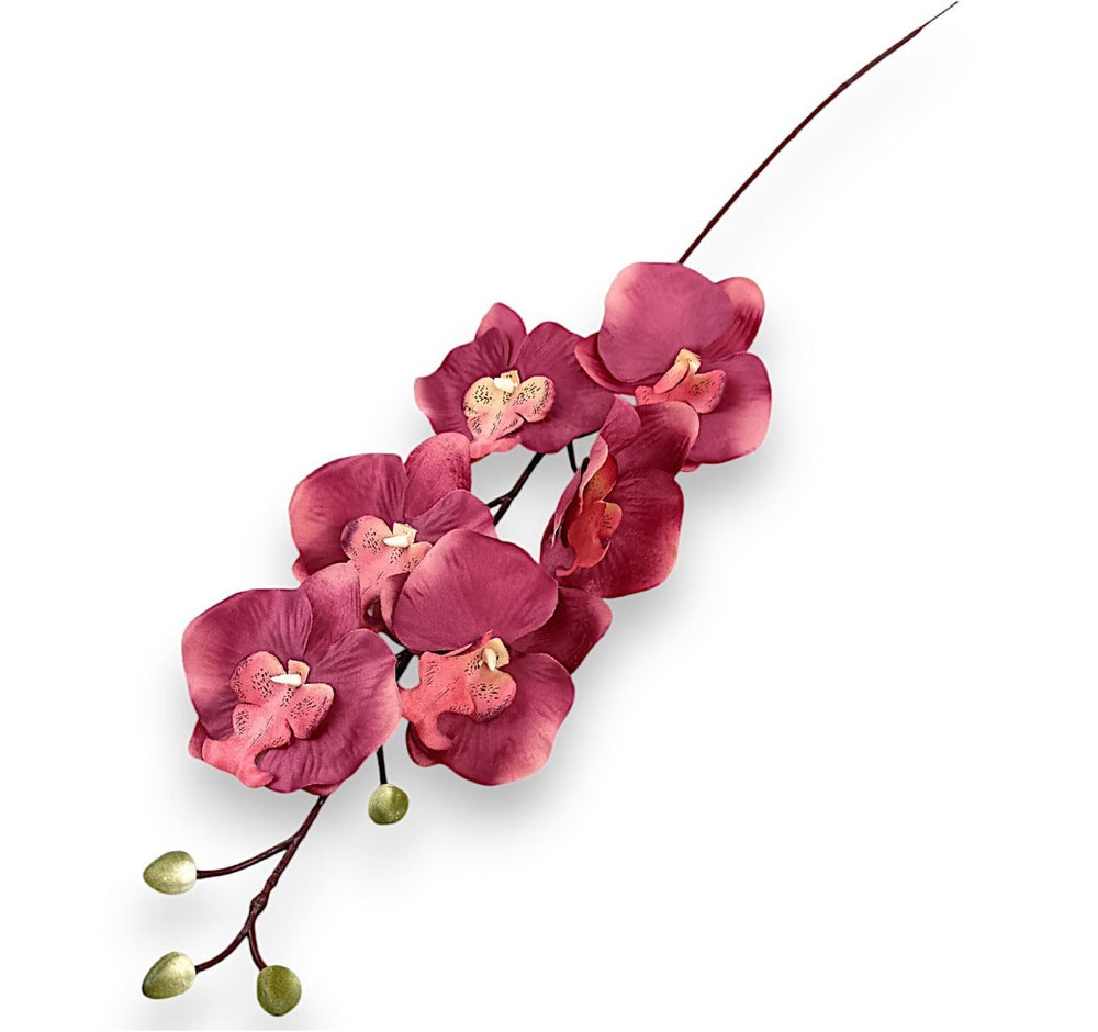 Fir orhidee 80cm S/6 burgundy deschis