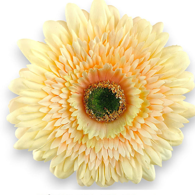 Fir gerbera H:60 cm piersica