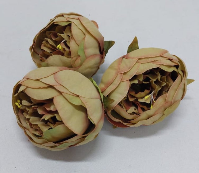 Capete peonie 8cm 12buc/pachet verde