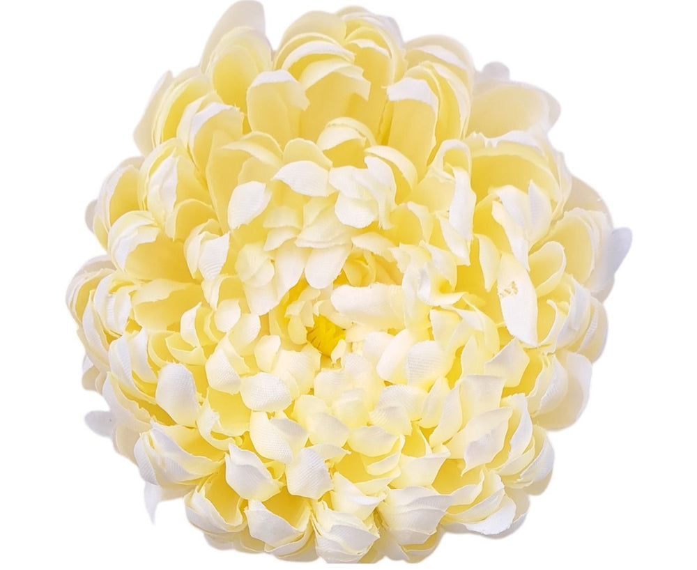 Cap crizanteme S/6 crem