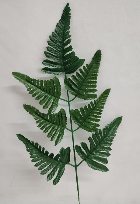 imagine produs Frunze feriga 54cm S/12 verde