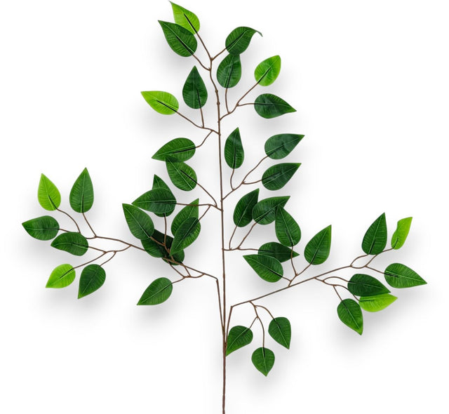 Creanga ficus x3 61cm 12buc/pachet