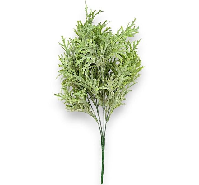 imagine produs Buchet ferigax5 H:37cm