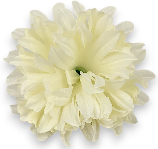 Cap crizantem 13cm S/24 crem inchis