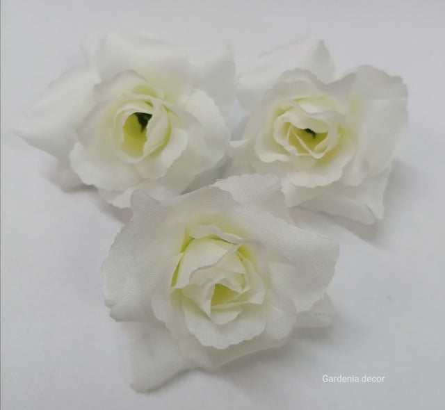 imagine produs Cap trandafiri S/24 alb