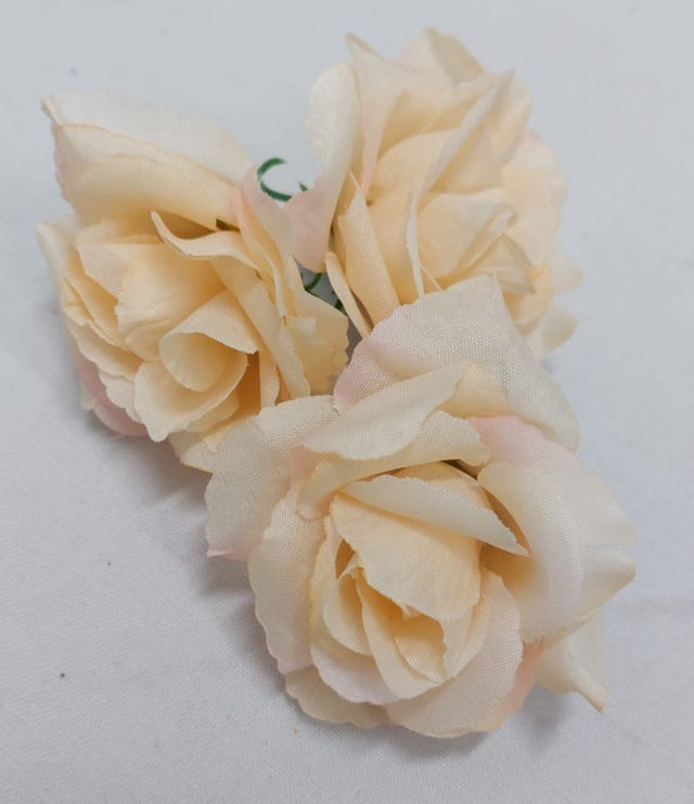 Cap trandafiri S/24 piersica