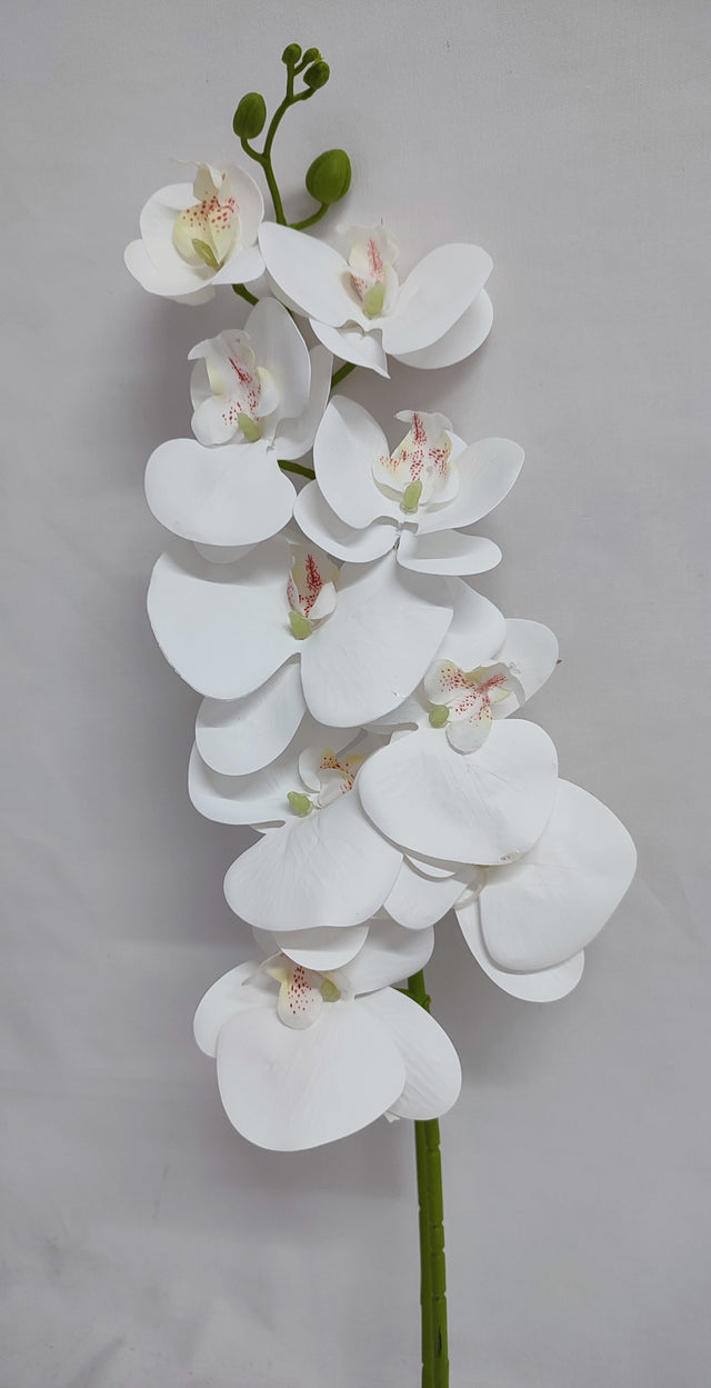 imagine produs Fir orhidee 98cm alb