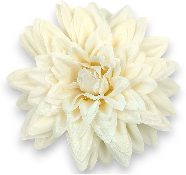 Cap dalie 11cm 24buc/pachet crem