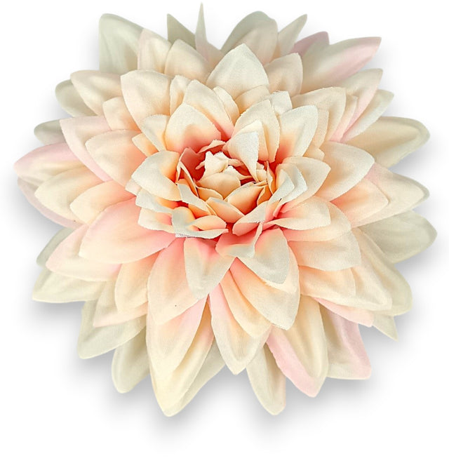 Cap dalie 11cm 24buc/pachet piersica deschis