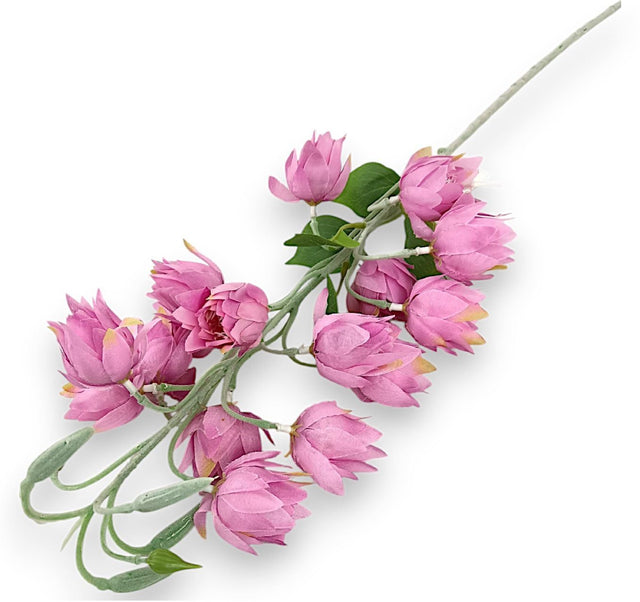 Fir cu floare yukka 90cm nalba