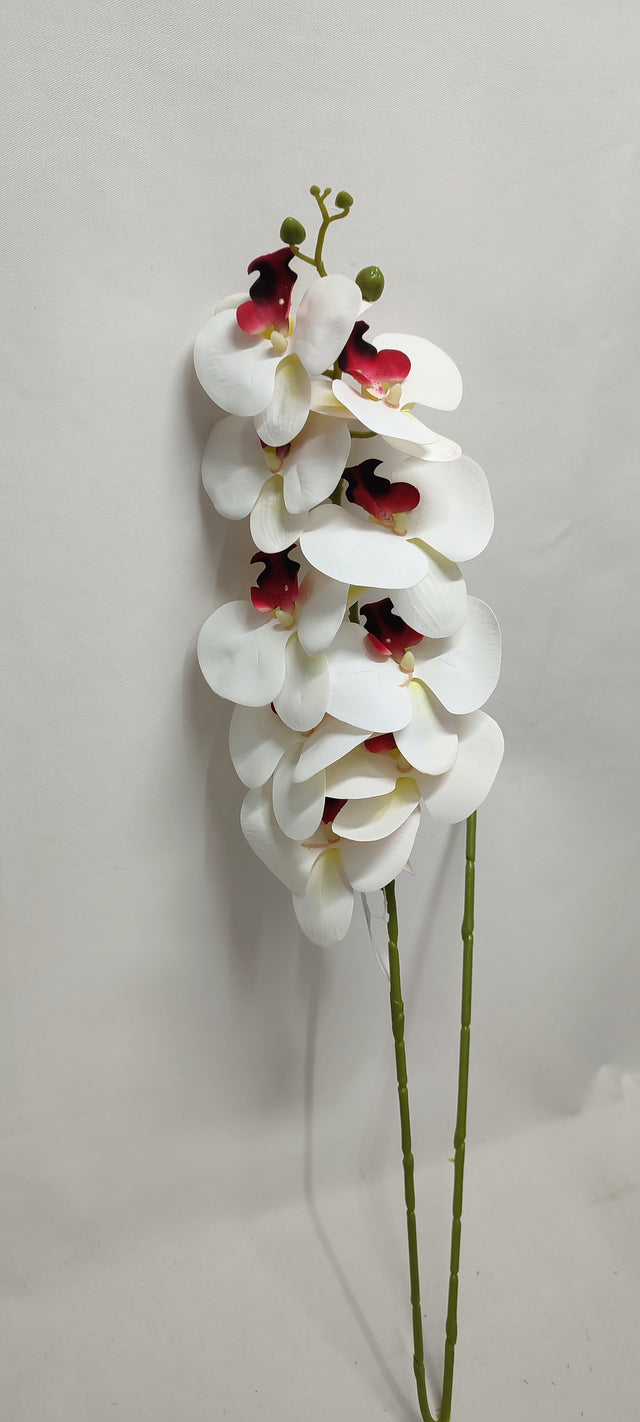 imagine produs Fir orhidee extra 106cm