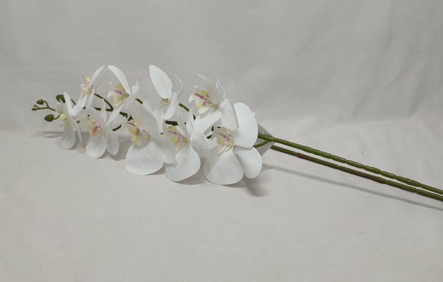 imagine produs Fir orhidee extra 106cm alb