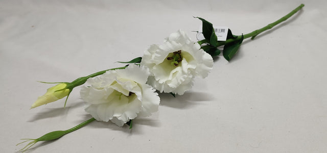imagine produs Creanga lisianthus x2 65cm alb