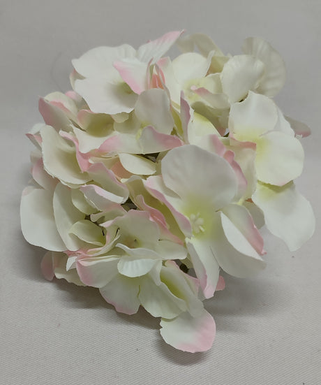 imagine produs Capete hortensie 15cm s/12 crem/verde/roz