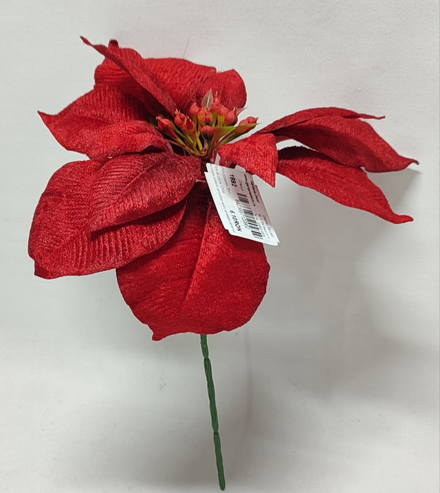 imagine produs Pick poisentia 25cm
