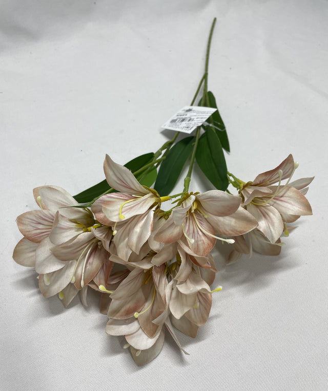 Fir crini 52cmx4 cappucino