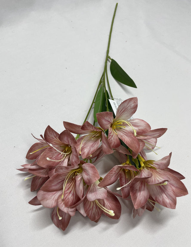 Fir crini 52cmx4 nalba