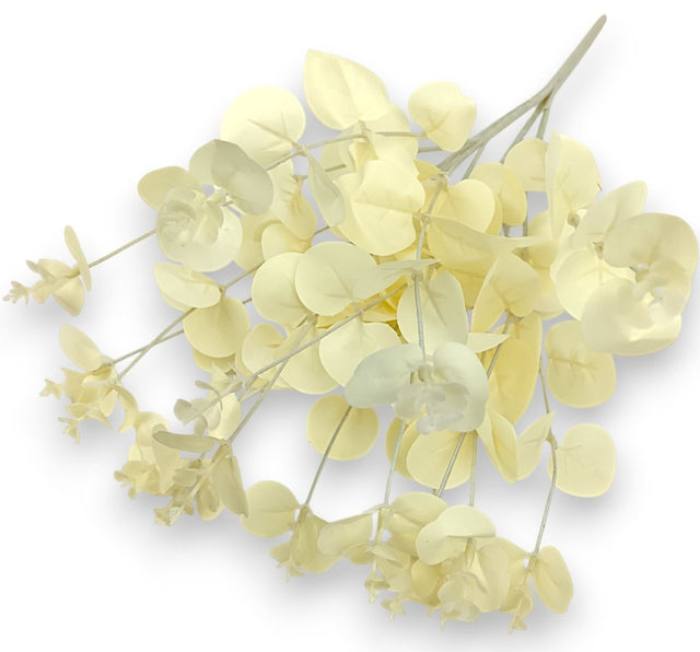 Buchet eukalypt X16 H:48cm crem