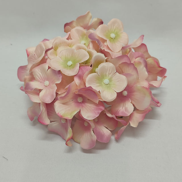 imagine produs Cap hortensie 15 cm nalba/verde/roz