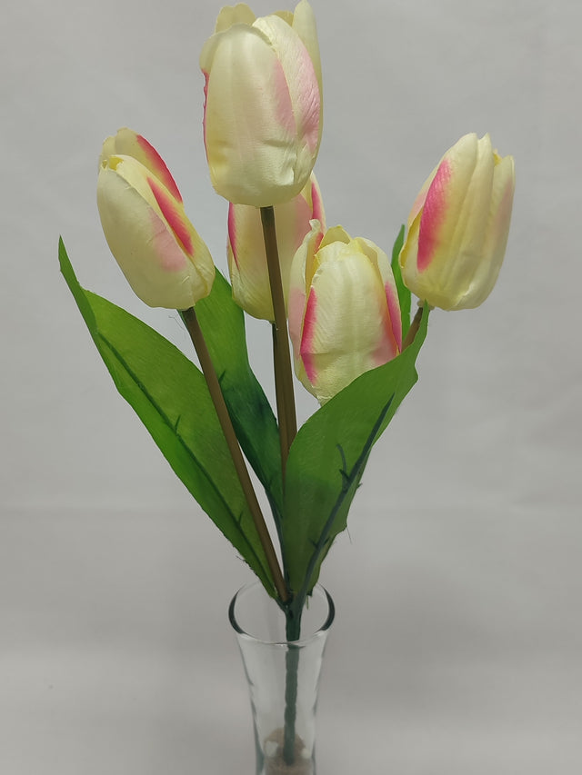 imagine produs Buchet lalele x5 35cm piersica