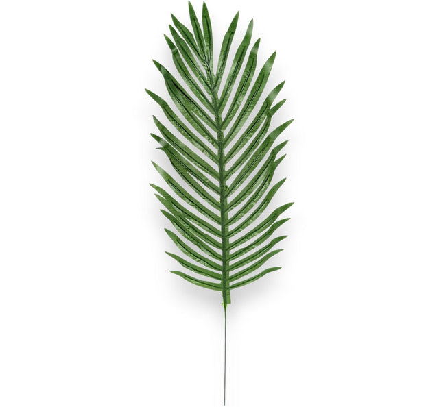 Frunze palmier cycas 50cm 12buc/pachet