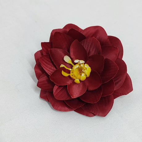 imagine produs Capete nufar 10cm S/12 bordeaux