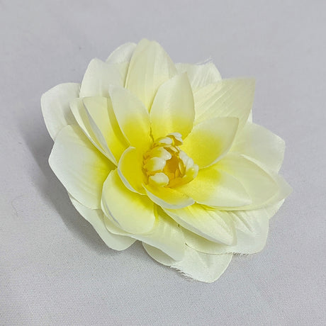 imagine produs Capete nufar 10cm S/12 crem