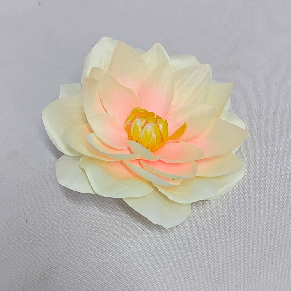 imagine produs Capete nufar 10cm S/12 crem/roz