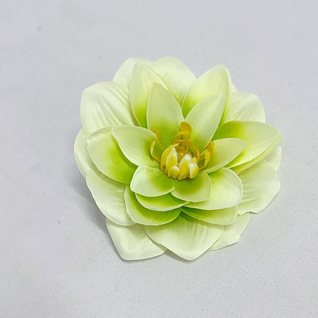 imagine produs Capete nufar 10cm S/12 verde