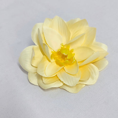 imagine produs Capete nufar 10cm S/12 piersica