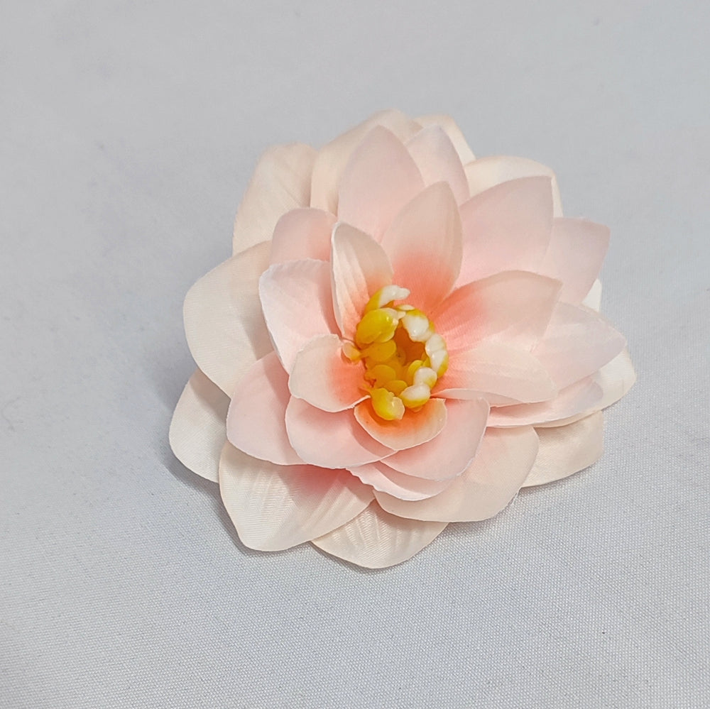imagine produs Capete nufar 10cm S/12 roz