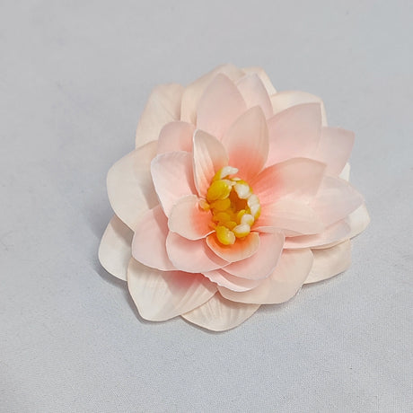 imagine produs Capete nufar 10cm S/12 roz