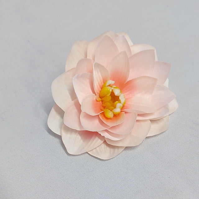 imagine produs Capete nufar 10cm S/12 roz