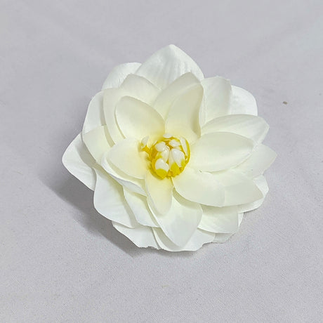 imagine produs Capete nufar 10cm S/12 alb