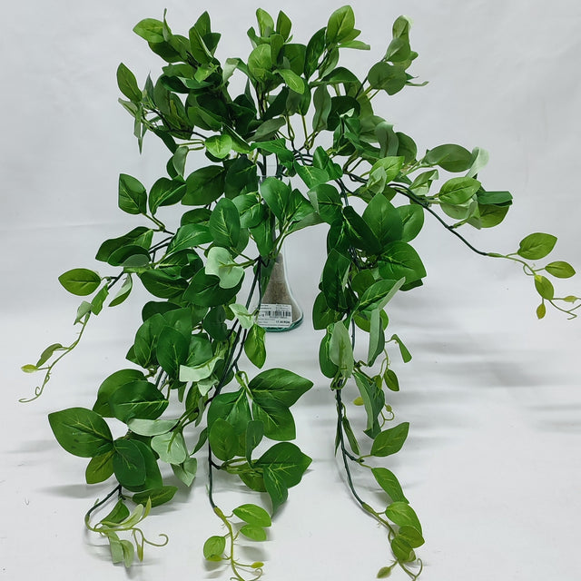imagine produs Buchet verdeata x5 L:65cm