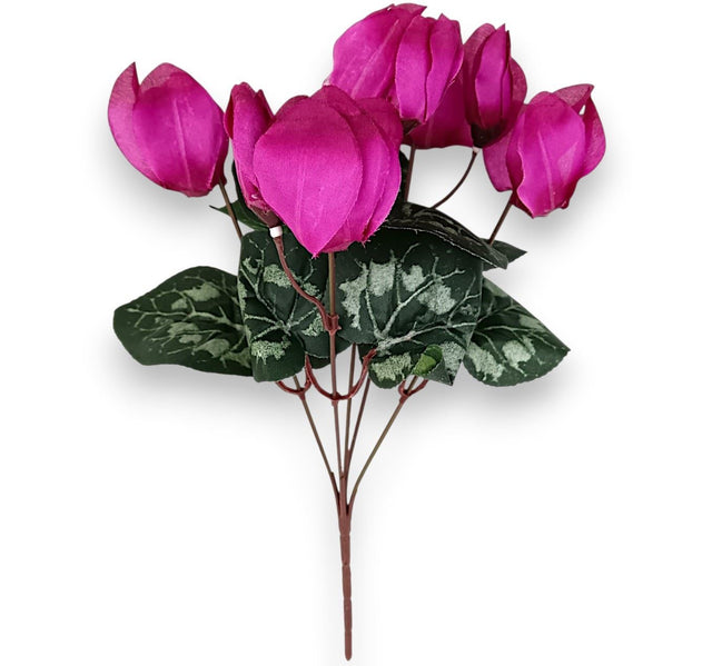 Buchet ciclam x5 H 34cm